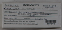 Image Associated With the Occurence